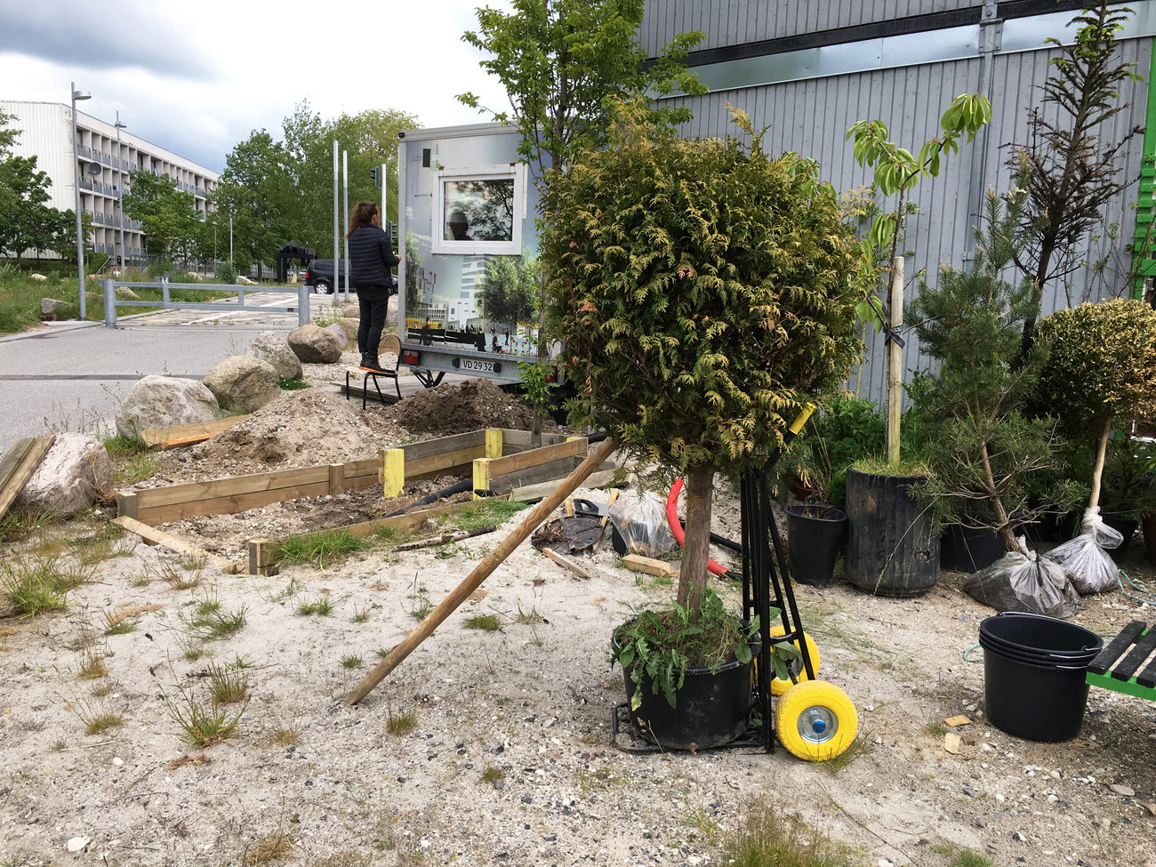plante